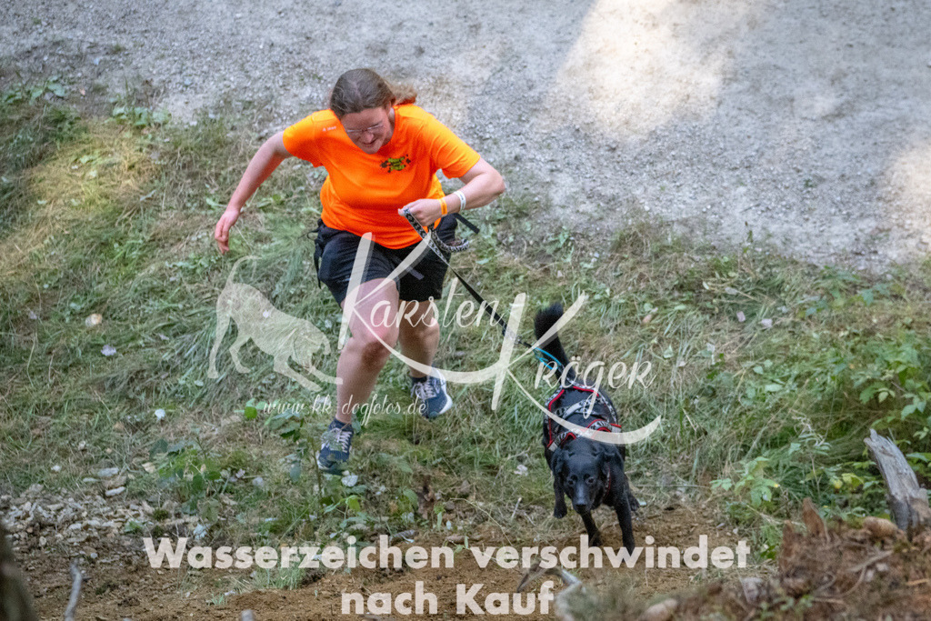 1058_ZZ93924 | kk-dogfotos