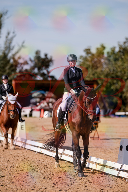 2026_10_03_Siefer-Hof_125937_Z81_50807221 | Professionelle Reitsport-, Turnier- und Eventfotografie von Robert Broda. Galerien mit ausgewählten und bearbeiteten Bildern direkt online ansehen und bestellen.