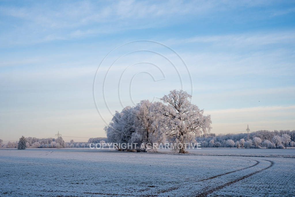 20221218-_DSF2476 | Schneebedeckte Landschaft bei eisiger Kälte - Realisiert mit Pictrs.com