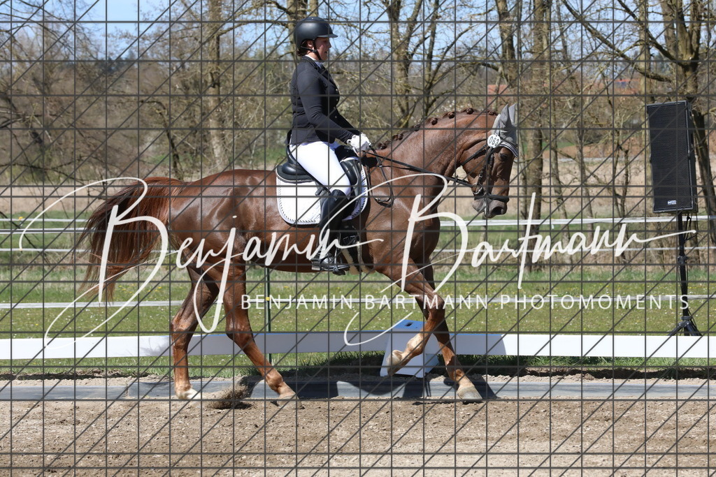 AZ2A4226 | Benjamin Bartmann Photomoments