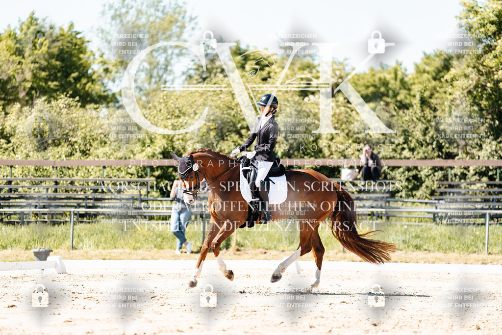 CK905336 | Turnierfotografie Pferdefotografie Trier Rheinland-Pfalz Pferdesport Reitsport Tierfotografie Sportfotografie Pferdevideo Pferdevideografie Equestrianvideography equestrianphotography  - Realisiert mit Pictrs.com