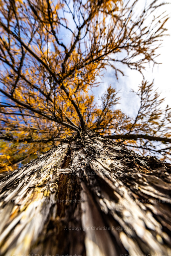 Fotos_Copyright_Chri_Fischbacher_Druck-511 | Bildershop Chri Fischbacher - Realisiert mit Pictrs.com