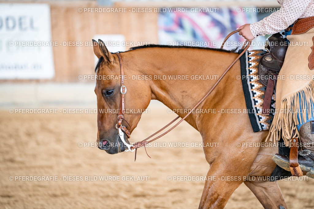 DSC08945 | Pferdegrafie