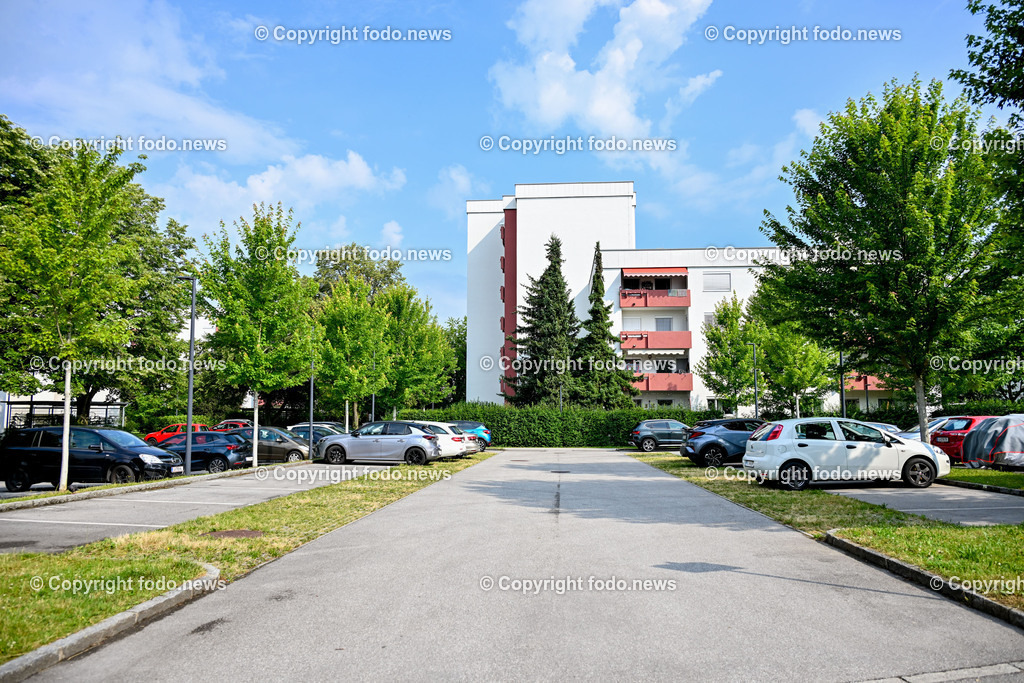 Linz_ Oed_ Europastrasse_ 28.06.2024-5 | 28.06.2024, Linz, AUT, Oed im Bild Europastrasse, Baeume, Gruenguertel, Garten, Parkplatz, Strasse, Allee