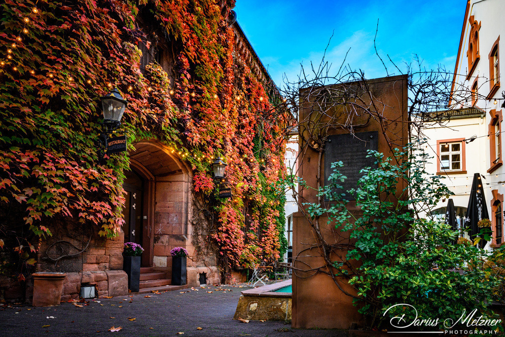 Die Kupferbergterasse in Mainz | Die Kupferbergterasse in Mainz