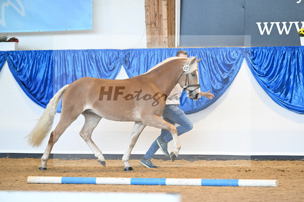 Kat-Nr. 20 nn v. Bugatti_Hock_60220767 | hf-fotografie - Realisiert mit Pictrs.com