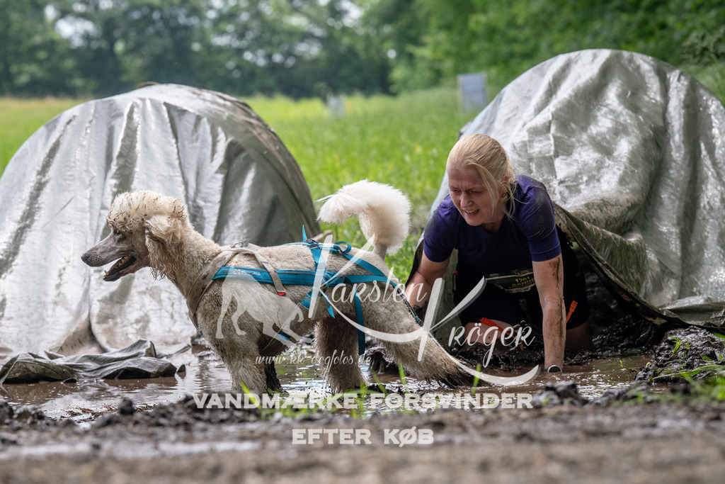 1102_ZZ91155 | kk-dogfotos