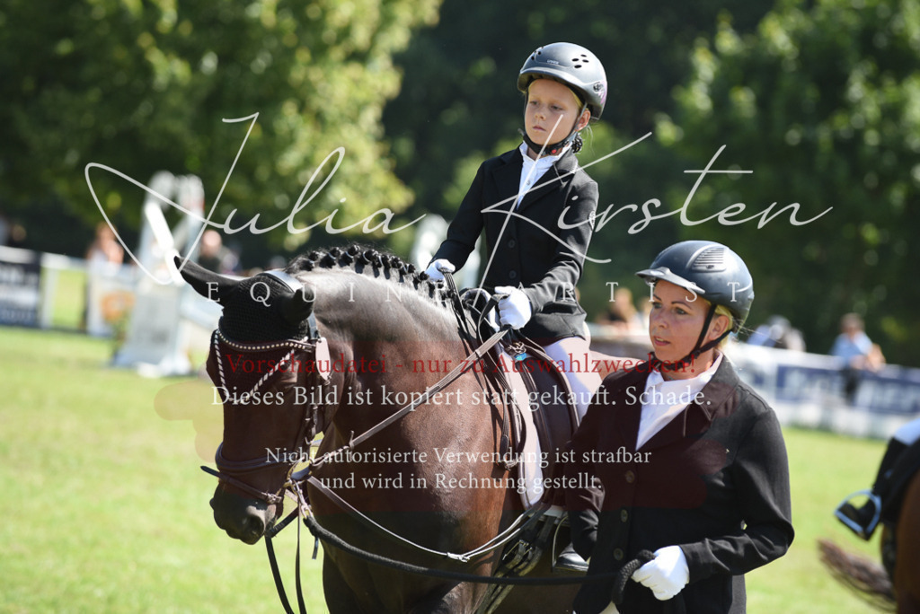 DSC_9791 | Pferde- und Turnierfotografie in Westsachsen. Pferdeportraits, Auftragszeichnungen und intuitive Kunst.