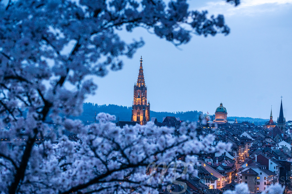 view over the oldtown of Bern | Die ideale Geschenkidee für Naturliebhaber. Naturbilder von Marcel Gross Photography für ihr Zuhause in den verschiedensten Formaten und Materialien. - Realisiert mit Pictrs.com