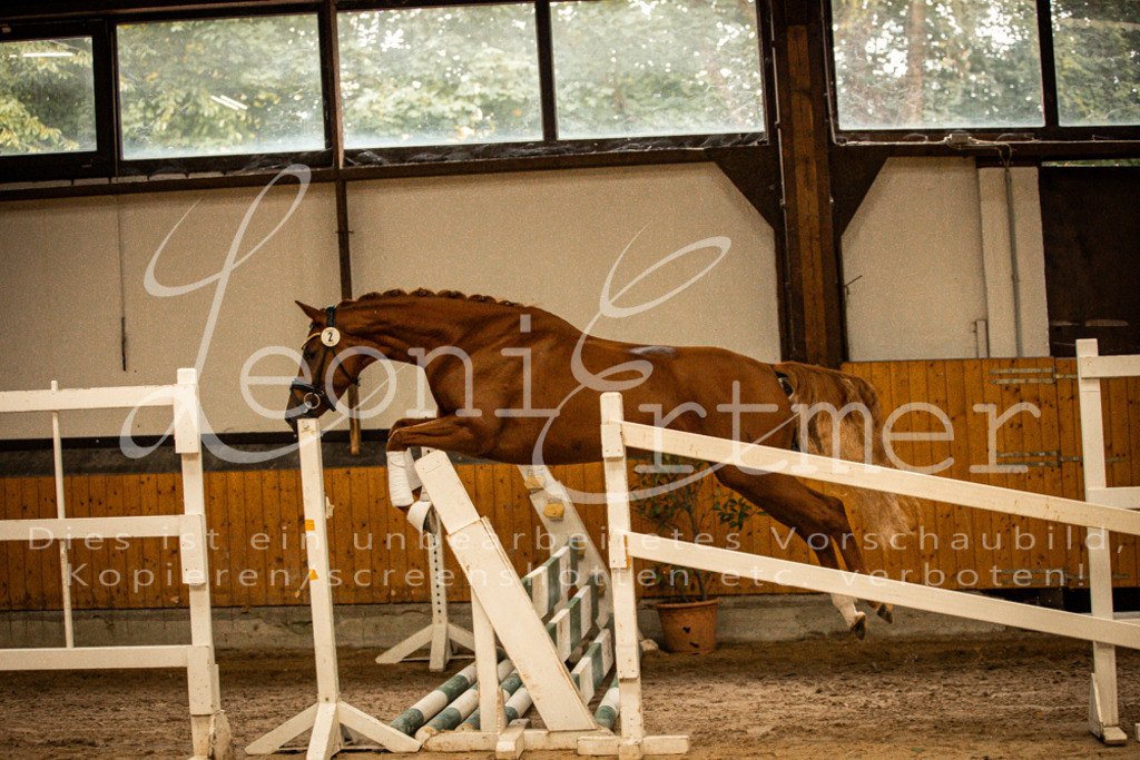 1FS_L00033 | Leoni Ertmer Photography - Realisiert mit Pictrs.com