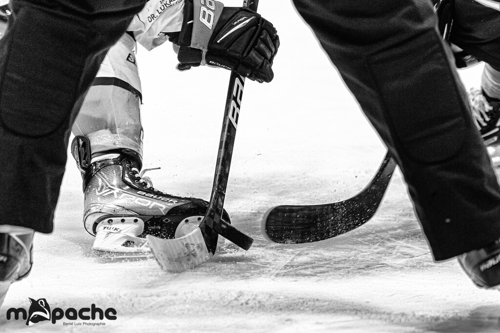 Löwen Frankfurt - EHC Freiburg - 28.1.22 | Löwen Frankfurt - EHC Freiburg - 28.1.22 - Realisiert mit Pictrs.com