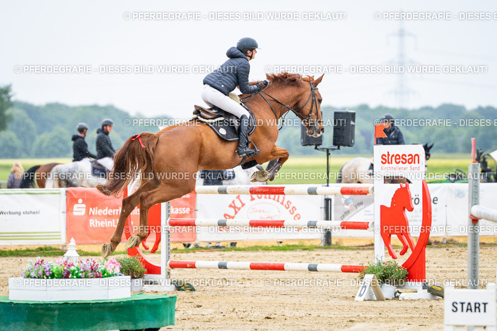 DSC08084 | Pferdegrafie