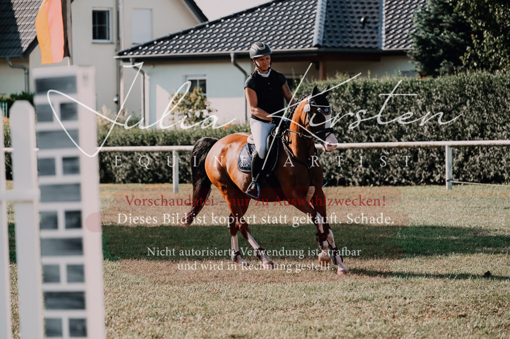 DSC_4722 | Pferde- und Turnierfotografie in Westsachsen. Pferdeportraits, Auftragszeichnungen und intuitive Kunst.