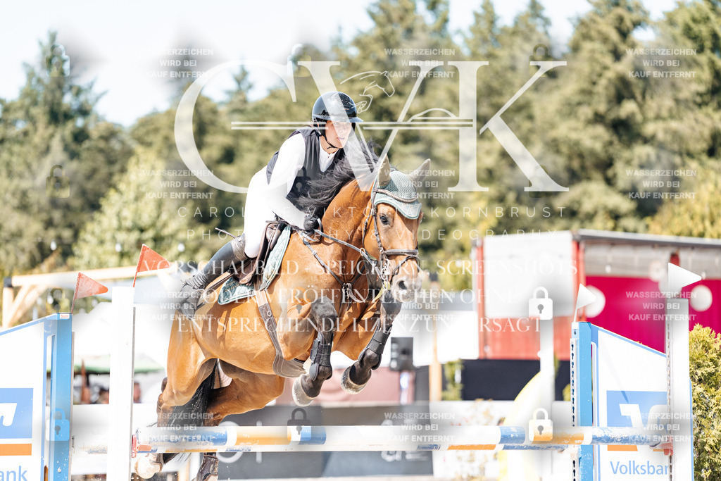 CK901093 | Turnierfotografie Pferdefotografie Trier Rheinland-Pfalz Pferdesport Reitsport Tierfotografie Sportfotografie Pferdevideo Pferdevideografie Equestrianvideography equestrianphotography  - Realisiert mit Pictrs.com