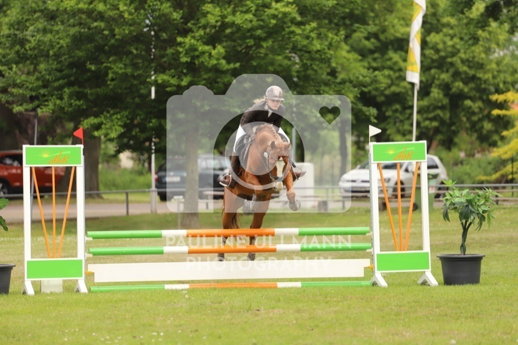 IMG_7442 | Pauline Ullmann Photography - Realisiert mit Pictrs.com