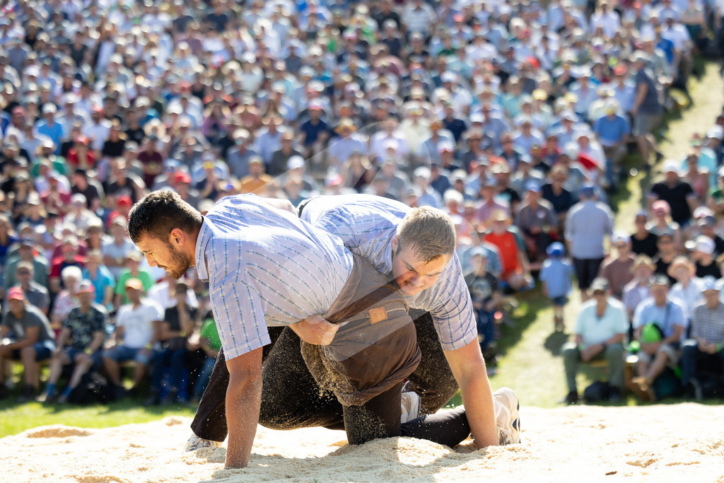 Rigi2025_2721 | Die Schwinger des Schwyzer Kantonalen Schwingerverbandes: Fotos, die Dynamik und Leidenschaft festhalten, sowie emotionale Momente aus dem traditionellen Schwingsport zeigen. - Realisiert mit Pictrs.com
