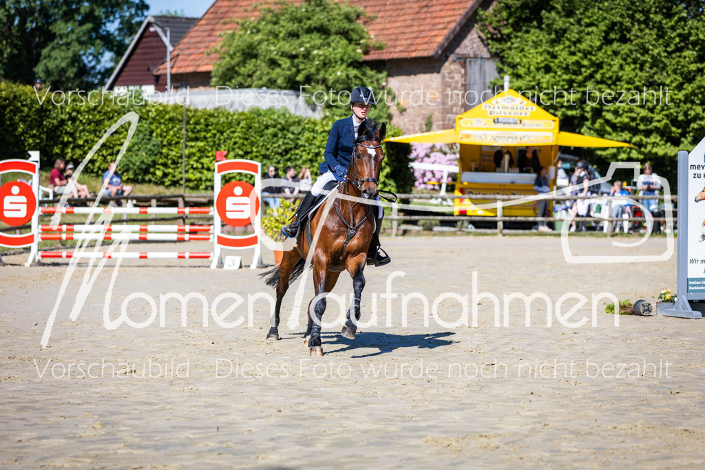 Donop24-A2Spr-078 | MomenTaufnahmen Pferdesportfotos