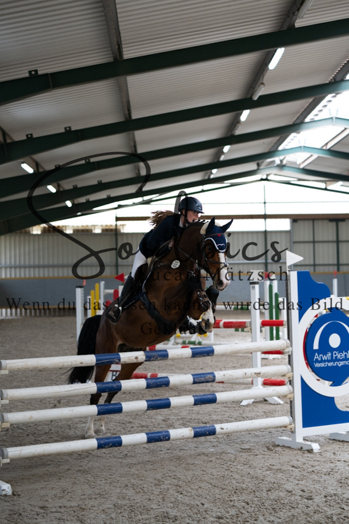 A7V08568 | Pferdefotograf