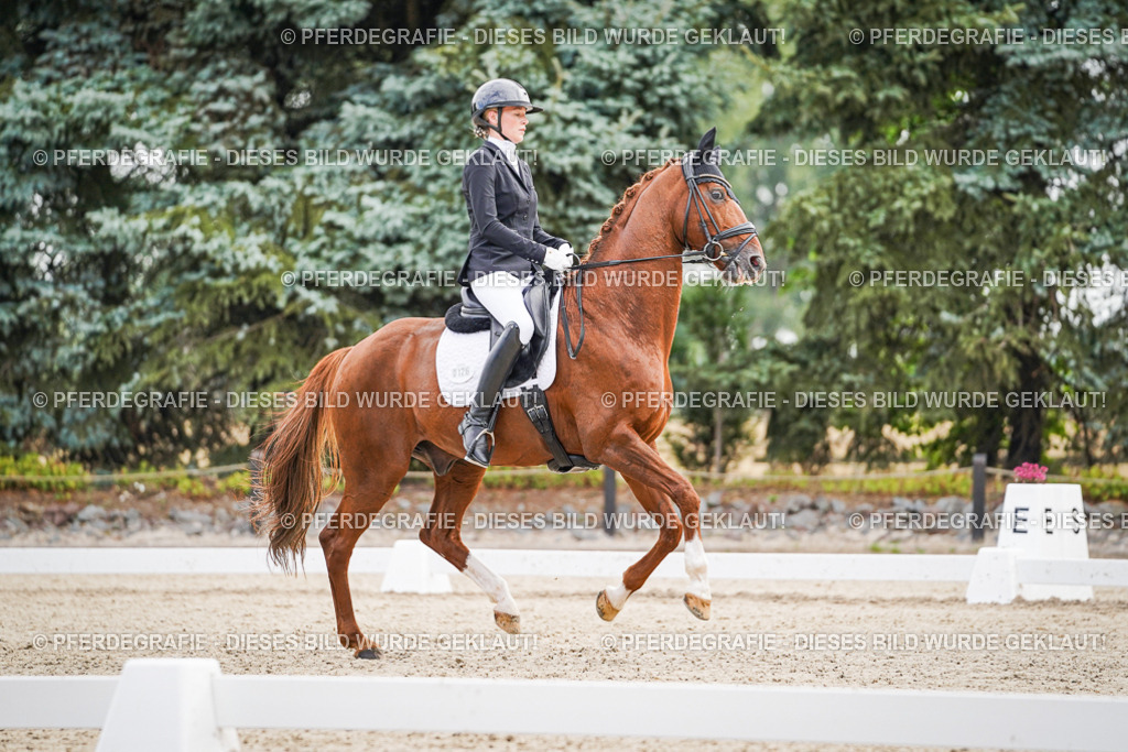 DSC01287 | Pferdegrafie