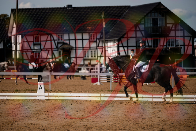 2026_10_03_Siefer-Hof_121445_Z63_40026258 | Professionelle Reitsport-, Turnier- und Eventfotografie von Robert Broda. Galerien mit ausgewählten und bearbeiteten Bildern direkt online ansehen und bestellen.
