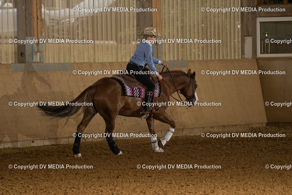 LAU00635 | dv-media-shop - Realisiert mit Pictrs.com