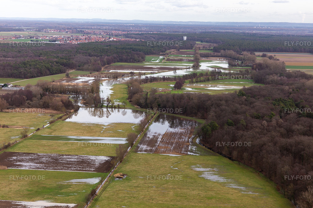 Luftbild: Überfluteter Mühlgraben, Birnbach, Erlenbach in Erlenbach bei Kandel im Bundesland Rheinland-Pfalz in Deutschland. Foto: IMG_124195.jpg vom 04.02.2021 durch Werner Riehm/FLY-FOTO.de