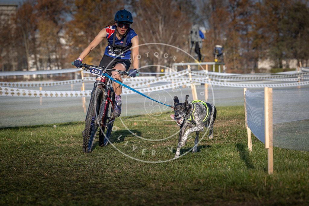 CaniXpix_0L8A4394 | Hundefotografie, Tierfotograf, Pfotenfotografie, Fotoshooting Hund, Hunde Portrait, Hundesport, Hundeportraits, Heideshooting, Hunde, Sportfotograf, Hundefotograf, Turnierhundsport, THS,  - Realisiert mit Pictrs.com