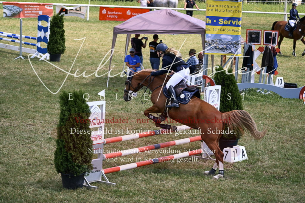 DSC_9850 | Pferde- und Turnierfotografie in Westsachsen. Pferdeportraits, Auftragszeichnungen und intuitive Kunst.