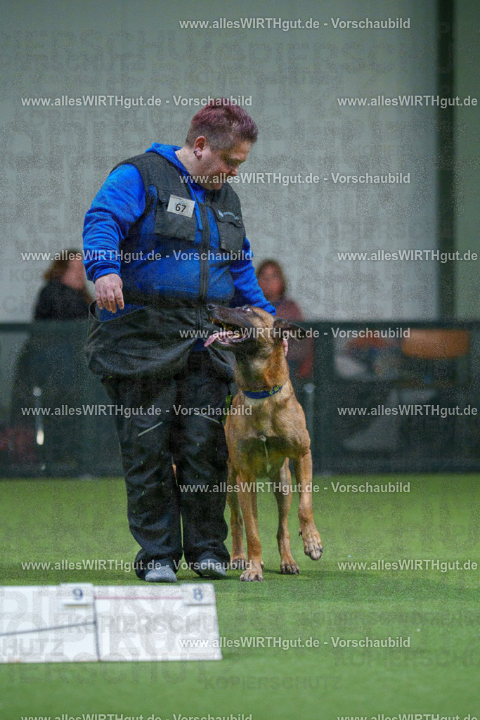 7R503741 | Professionelle Tierfotografie in Mönchengladbach von Daniel Wirth (allesWIRTHgut). Liebevolle & natürliche Bilder von Hunden & Katzen für unvergessliche Erinnerungen.