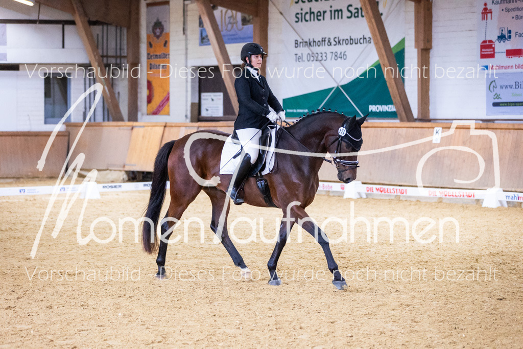 Sth-A-Dre-2St-004 | MomenTaufnahmen Pferdesportfotos