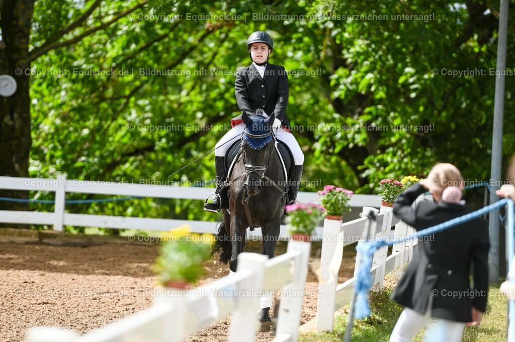 20230716_10-1_Reiter-WB Schritt - Trab - Galopp_0164 | equistock