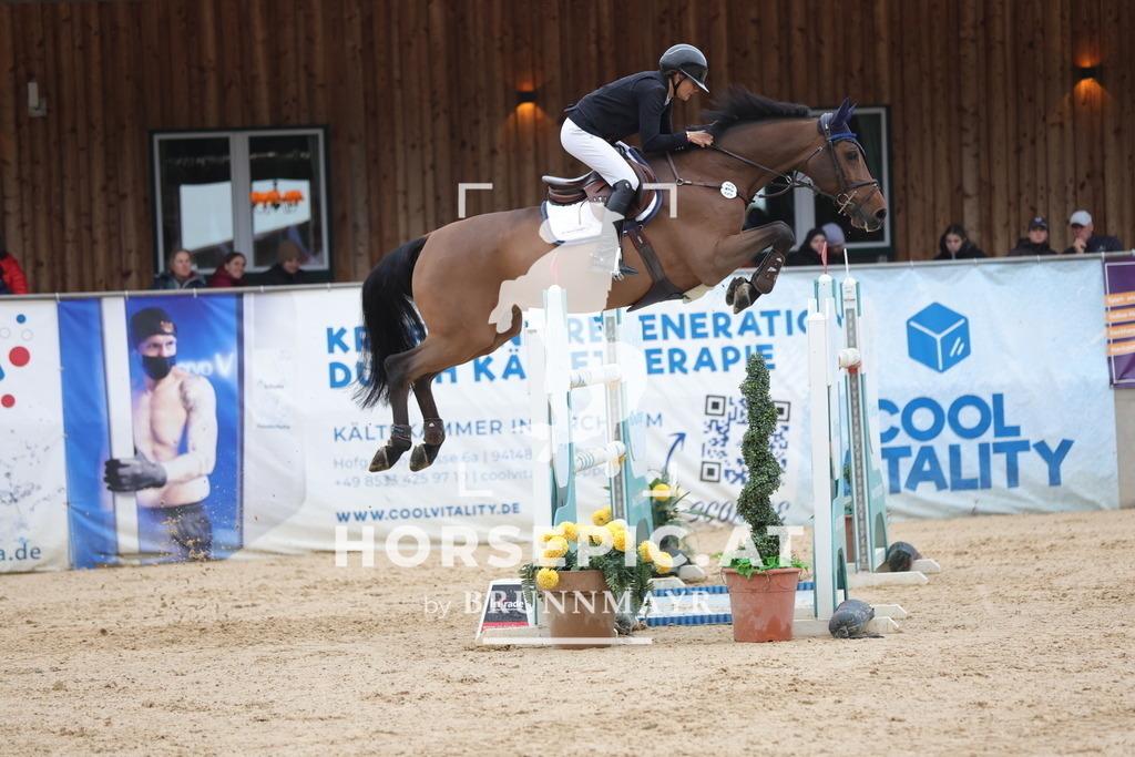 0P6A4504 | Willkommen bei Brunnmayr - Design & Fotografie – Ihrem Spezialisten für Reitturniere und Pferdeveranstaltungen in Oberösterreich, Salzburg und Bayern! Seit über 17 Jahren sind wir leidenschaftlich dabei.