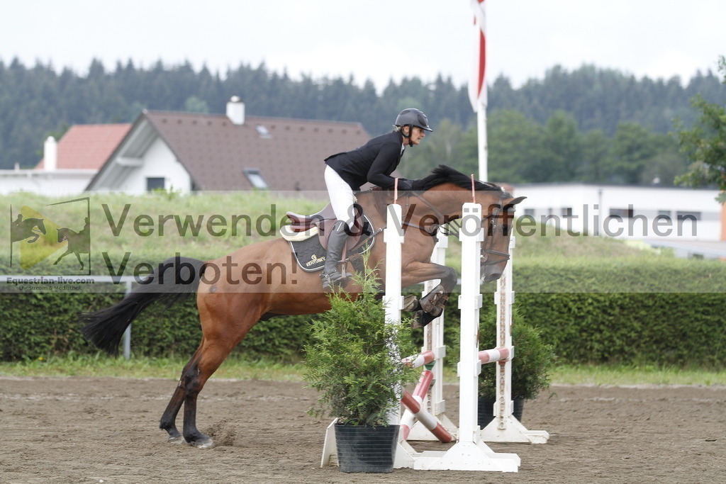 _MG_9873 | equestrian-live-com