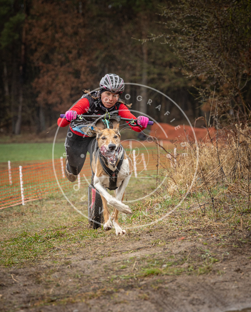 0L8A9042 | Hundefotografie, Tierfotograf, Pfotenfotografie, Fotoshooting Hund, Hunde Portrait, Hundesport, Hundeportraits, Heideshooting, Hunde, Sportfotograf, Hundefotograf, Turnierhundsport, THS,  - Realisiert mit Pictrs.com