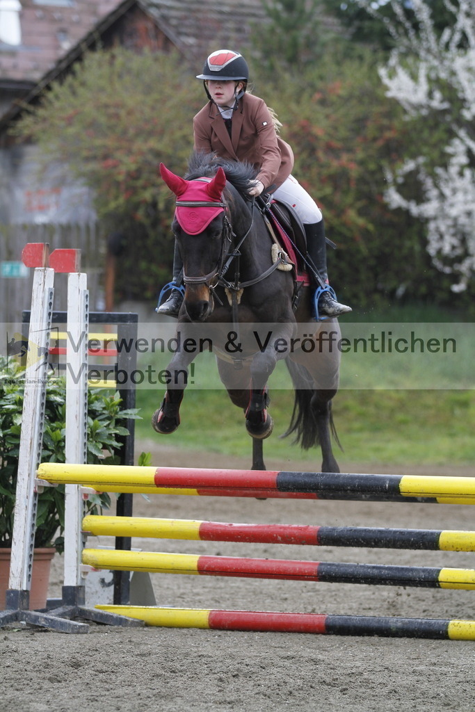 _MG_4456 | equestrian-live-com