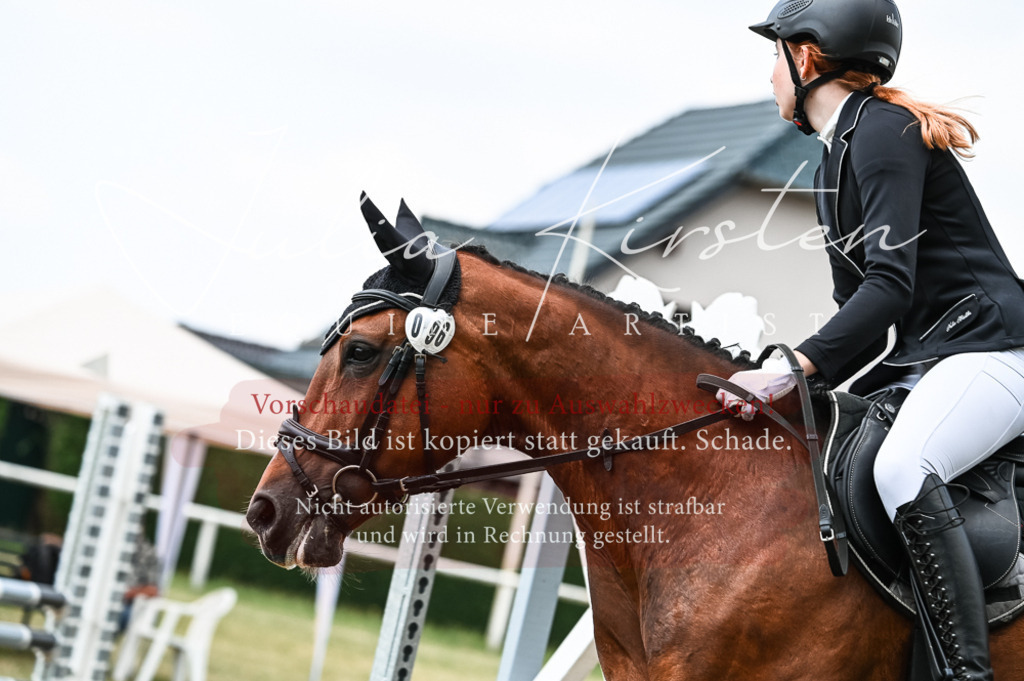 DSC_9024 | Pferde- und Turnierfotografie in Westsachsen. Pferdeportraits, Auftragszeichnungen und intuitive Kunst.