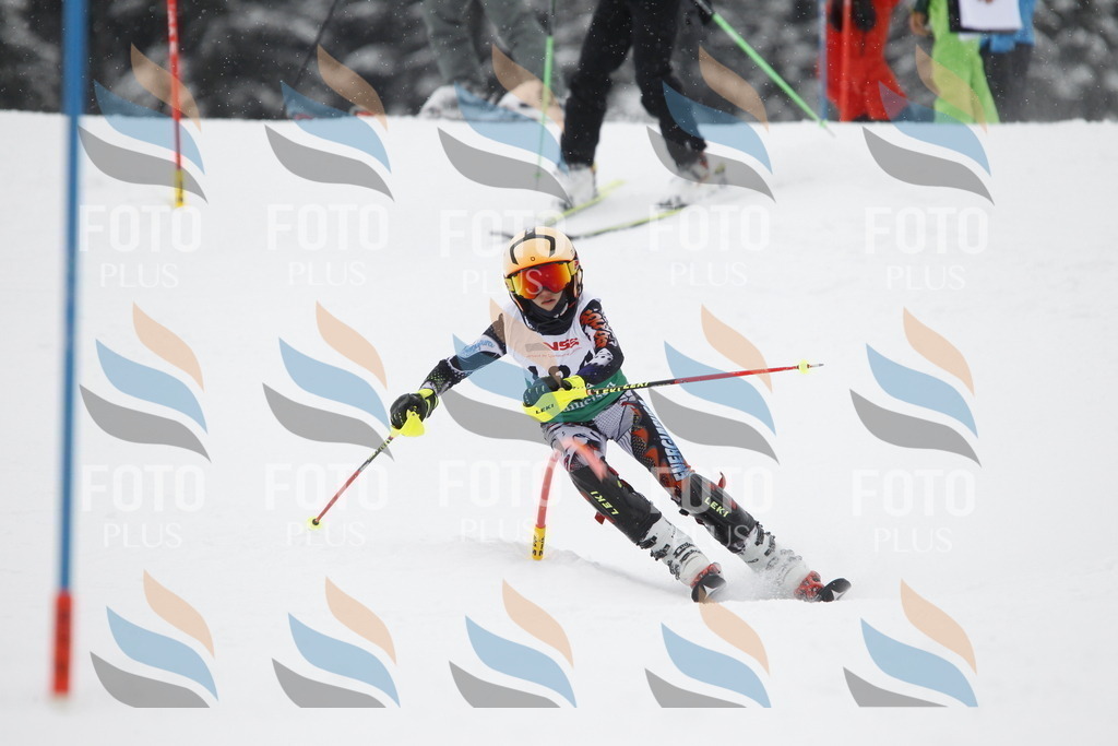 A2149 | holidayphoto