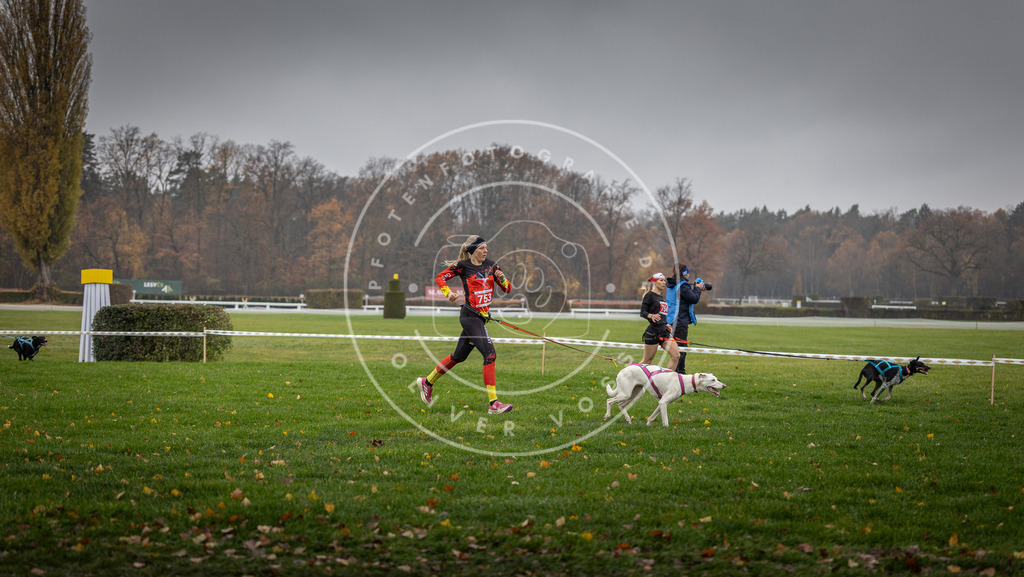 CaniXpix_DV3A8885 | Hundefotografie, Tierfotograf, Pfotenfotografie, Fotoshooting Hund, Hunde Portrait, Hundesport, Hundeportraits, Heideshooting, Hunde, Sportfotograf, Hundefotograf, Turnierhundsport, THS,  - Realisiert mit Pictrs.com