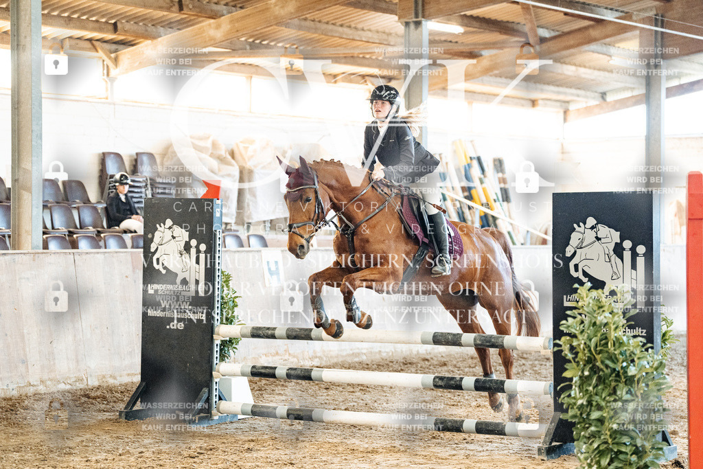 CK904728 | Turnierfotografie Pferdefotografie Trier Rheinland-Pfalz Pferdesport Reitsport Tierfotografie Sportfotografie Pferdevideo Pferdevideografie Equestrianvideography equestrianphotography  - Realisiert mit Pictrs.com