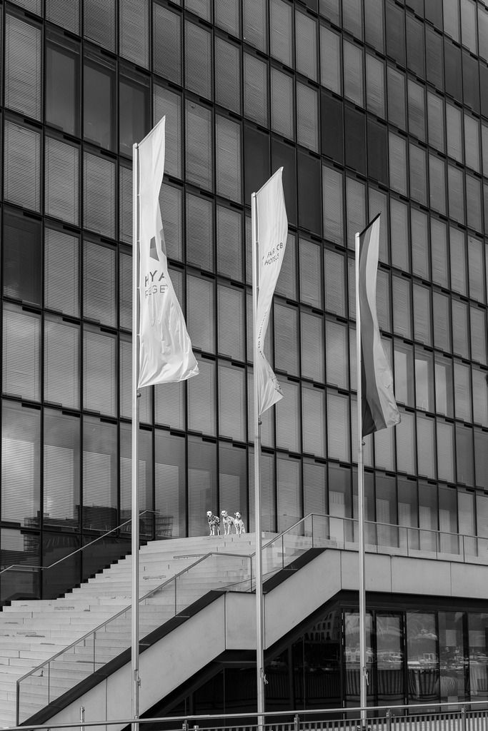 Fotowalk Medienhafen Düsseldorf - www.allesWIRTHgut.de -  @allesWIRTHgut_Tierfotografie 7R509883 - schwarzweiss | Professionelle Tierfotografie in Mönchengladbach von Daniel Wirth (allesWIRTHgut). Liebevolle & natürliche Bilder von Hunden & Katzen für unvergessliche Erinnerungen.