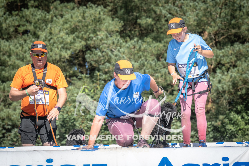 1459_ZZ96716 | kk-dogfotos