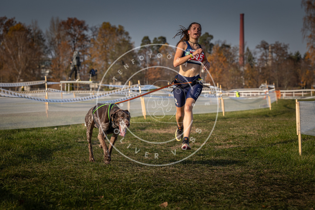 CaniXpix_0L8A9859 | Hundefotografie, Tierfotograf, Pfotenfotografie, Fotoshooting Hund, Hunde Portrait, Hundesport, Hundeportraits, Heideshooting, Hunde, Sportfotograf, Hundefotograf, Turnierhundsport, THS,  - Realisiert mit Pictrs.com