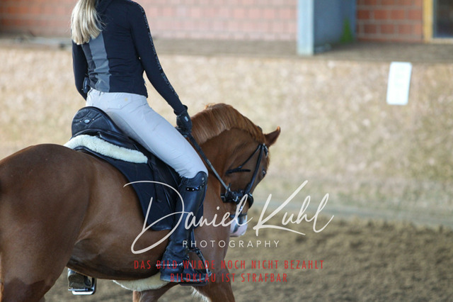 DKP42153 | Turniersportfotografie; Pferdefotografie; Dressurfotografie