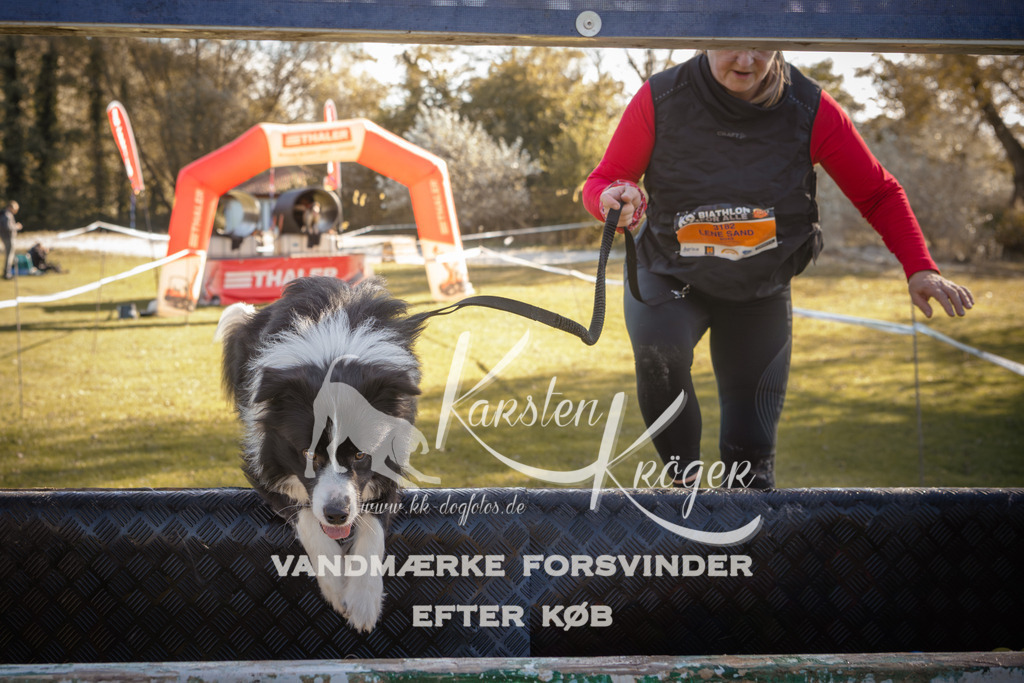 1219_ZZ95451 | kk-dogfotos