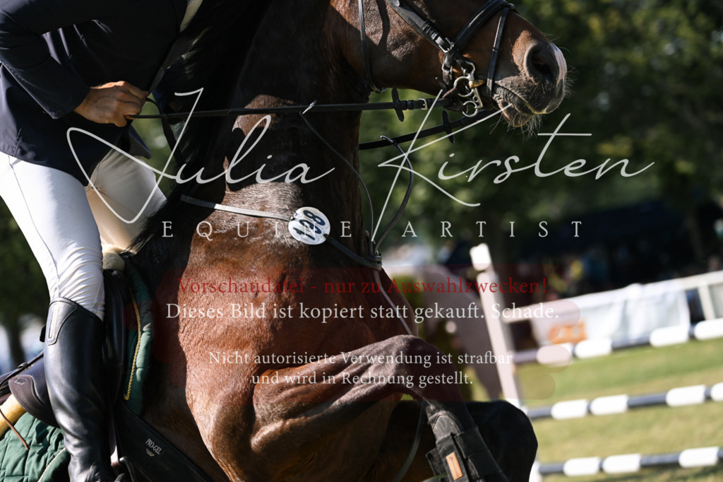 DSC_1418 | Pferde- und Turnierfotografie in Westsachsen. Pferdeportraits, Auftragszeichnungen und intuitive Kunst.