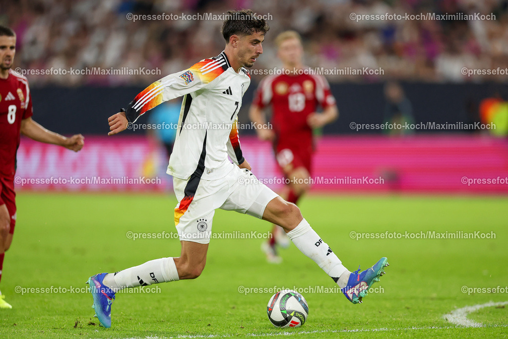DFB07092402342 | 07.09.2024, Düsseldorf, UEFA Nations League, Deutschland – Ungarn, Merkur Spielarena, Division A, 2024/2025, Gruppe 3: Kai Havertz (GER #7)DFB regulations prohibit any use of photographs as image sequences and or quasi-video.