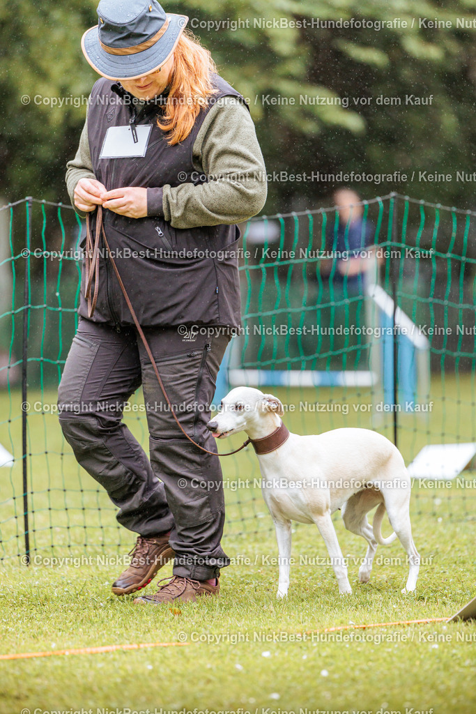 RO-Blumenthal-2026-Nickbest-Hundefotografie-0130 | Dein Hund! Dein Moment! Deine Erinnerungen! Hundefotografie in Bremen Blumenthal. Ich fange die besonderen Momente deines Vierbeiners ein – ob Indoor mit Blitzanlage oder in der freien Natur. Sicher dir dein Moment und dein Termin für eure Erinnerungen.