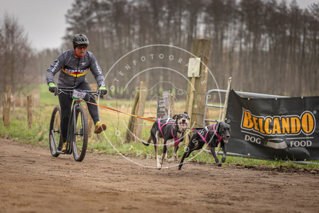 Pfotenfotografie_DV3A3239 | Hundefotografie, Tierfotograf, Pfotenfotografie, Fotoshooting Hund, Hunde Portrait, Hundesport, Hundeportraits, Heideshooting, Hunde, Sportfotograf, Hundefotograf, Turnierhundsport, THS,  - Realisiert mit Pictrs.com