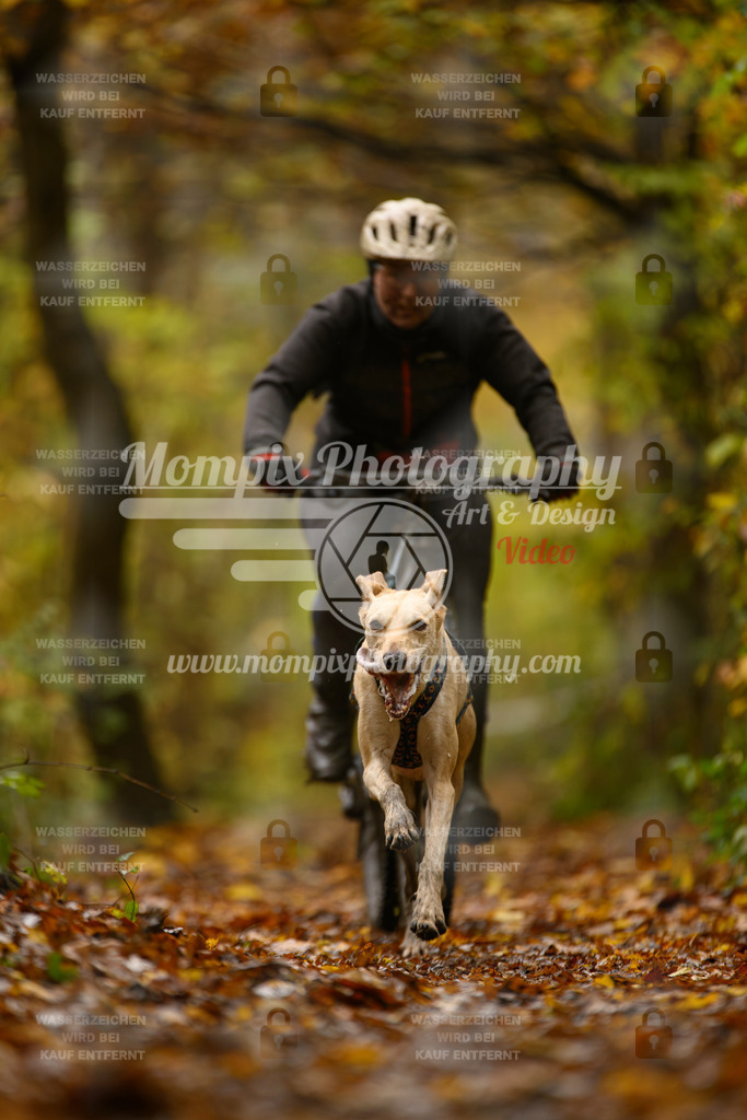 MompixPhotography_CD7S_DI_Bike-5 | mompixphotography