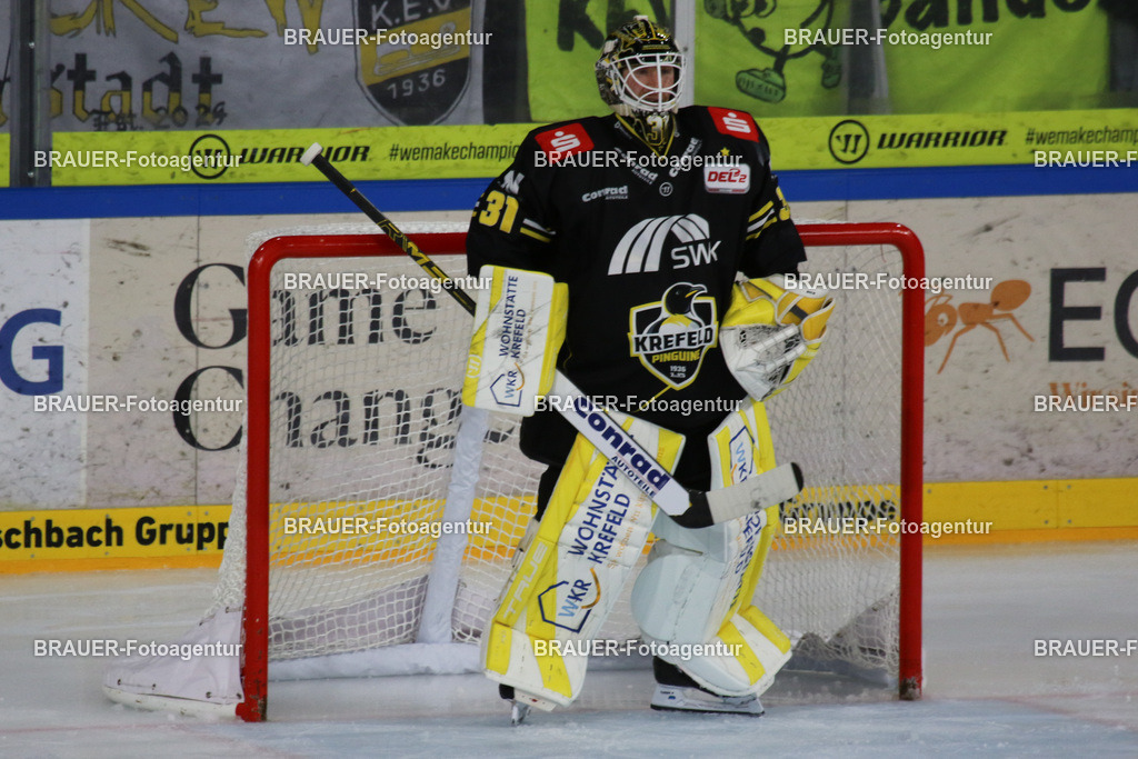 02.11.2025: DEL2  Krefeld Pinguine - Eispiraten Crimmitschau | Krefeld, Deutschland, 02.11.2025: Torwart Felix Bick (Krefeld Pinguine) schaut während des DEL2-Spiels zwischen Krefeld Pinguine - Eispiraten Crimmitschau am 02.11. 2025 in der Yayla-Arena in Krefeld, Deutschland. (Foto Ralph Görtz / Brauer-Fotoagentur)
